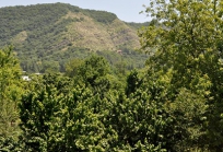 Hotel Kavkasioni in Kvareli-13