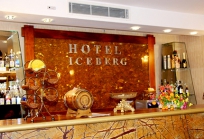 Hotel Iceberg in Tbilisi-9