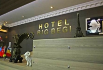 Hotel Big Begi in Tbilisi-19