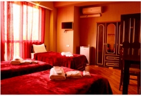 Hotel Big Begi in Tbilisi-3