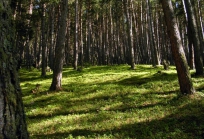 Samtskhe Javakheti Georgia-12