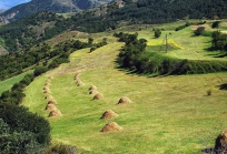 Samtskhe Javakheti Georgia-51