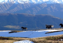 Upper Svaneti Georgia-146