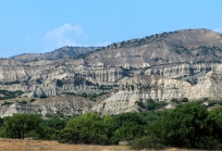 Kakheti Georgia-56