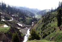 გურია საქართველოში-23