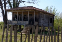 გურია საქართველოში-27