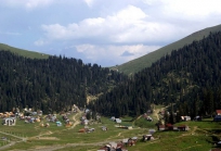 გურია საქართველოში-33
