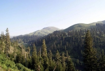 გურია საქართველოში-5