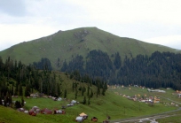 გურია საქართველოში-8