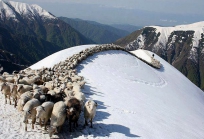 Tusheti Georgia-43