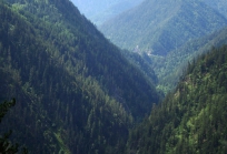 თუშეთი საქართველოში-5