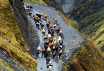 Tusheti Georgia-76