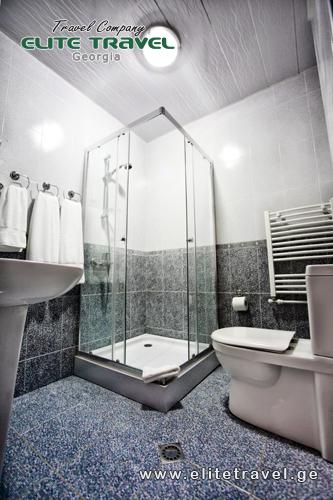 სასტუმრო გუდაურა გუდაურში-41