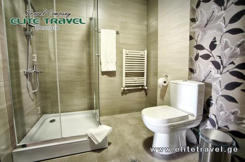 სასტუმრო გუდაურა გუდაურში-42