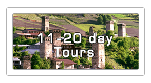 11-20 day cultural tours