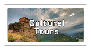 Cultural tours