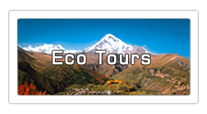 Eco tours