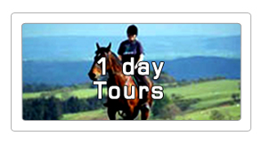 1 day horseback tours