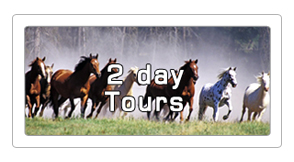 2 day horseback tours