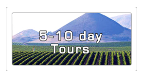 1-5 day wine tours