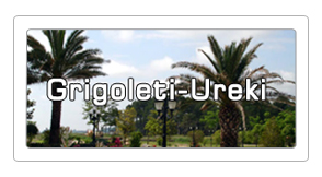 Grigoleti Ureki Hotels