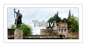 Telavi Hotels